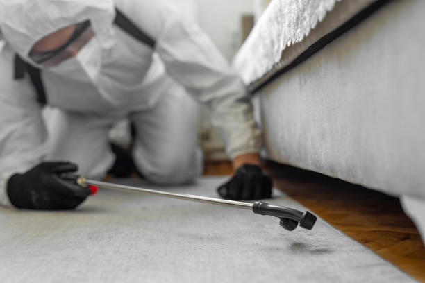 Professional Termite Control technician working in Oglethorpe, GA