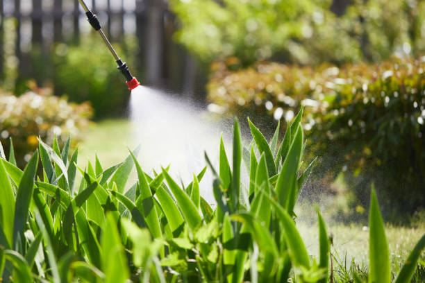 24/7 Emergency Termite Control experts in Oglethorpe, GA