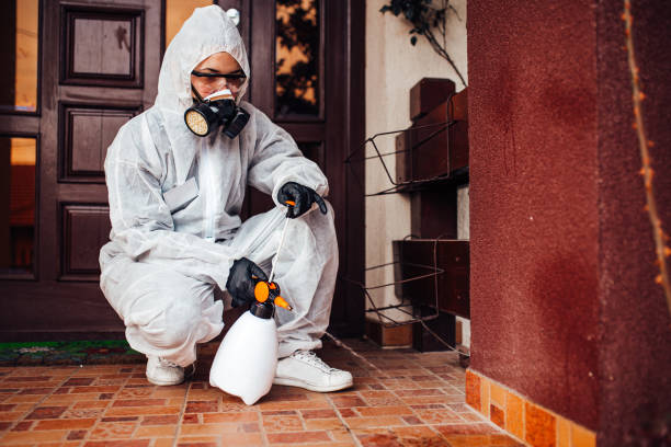 Reliable Termite Control contractor in Oglethorpe, GA by Nex Pest Control